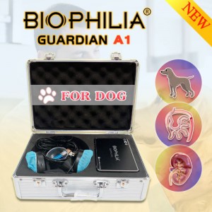 Biophilia Guardian A1 Bioresonance Machine for Dog