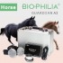 Biophilia Guardian A2 Bioresonance Horse Machine