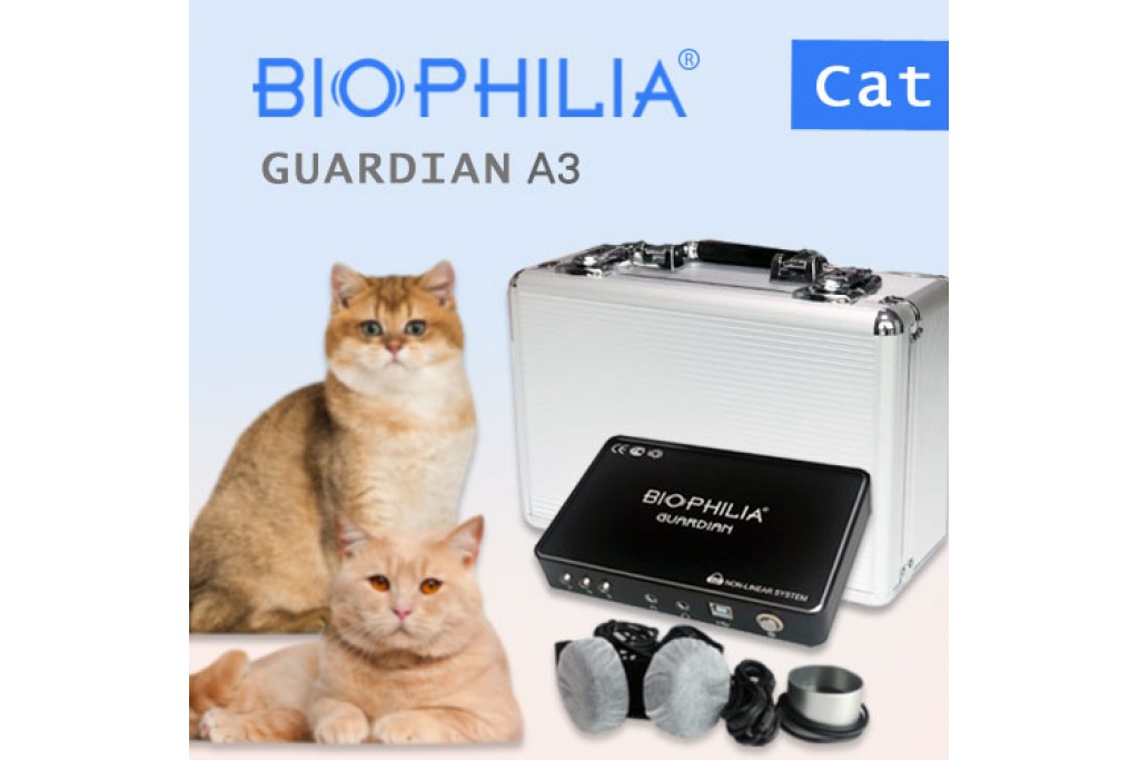 Bioresonance Meow Energy